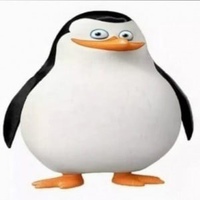 ponchick.