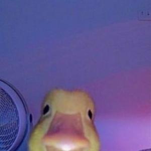 luiq